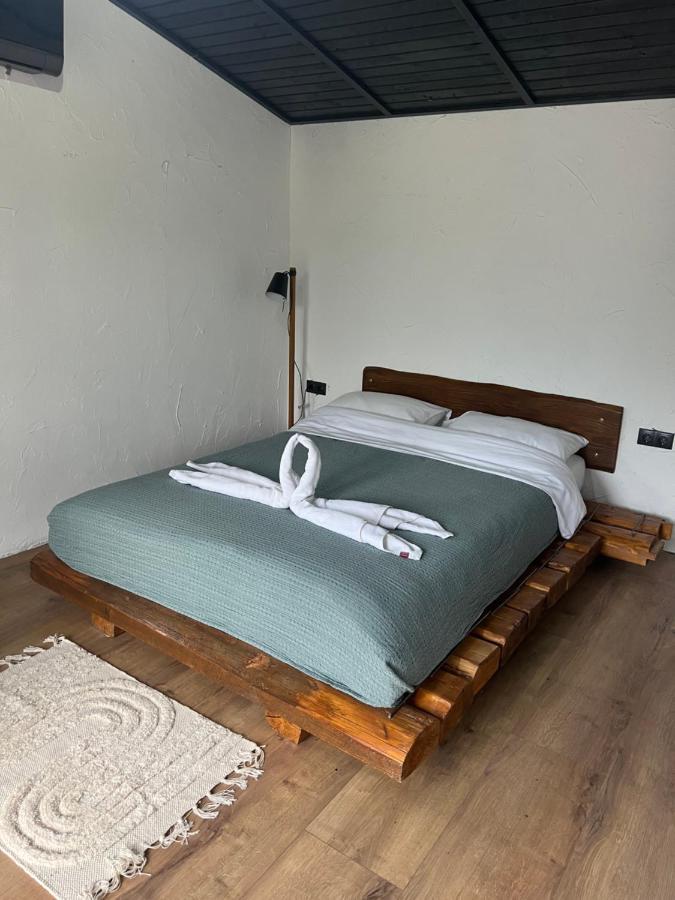 Casa Valeria Baisoara Villa Luaran gambar
